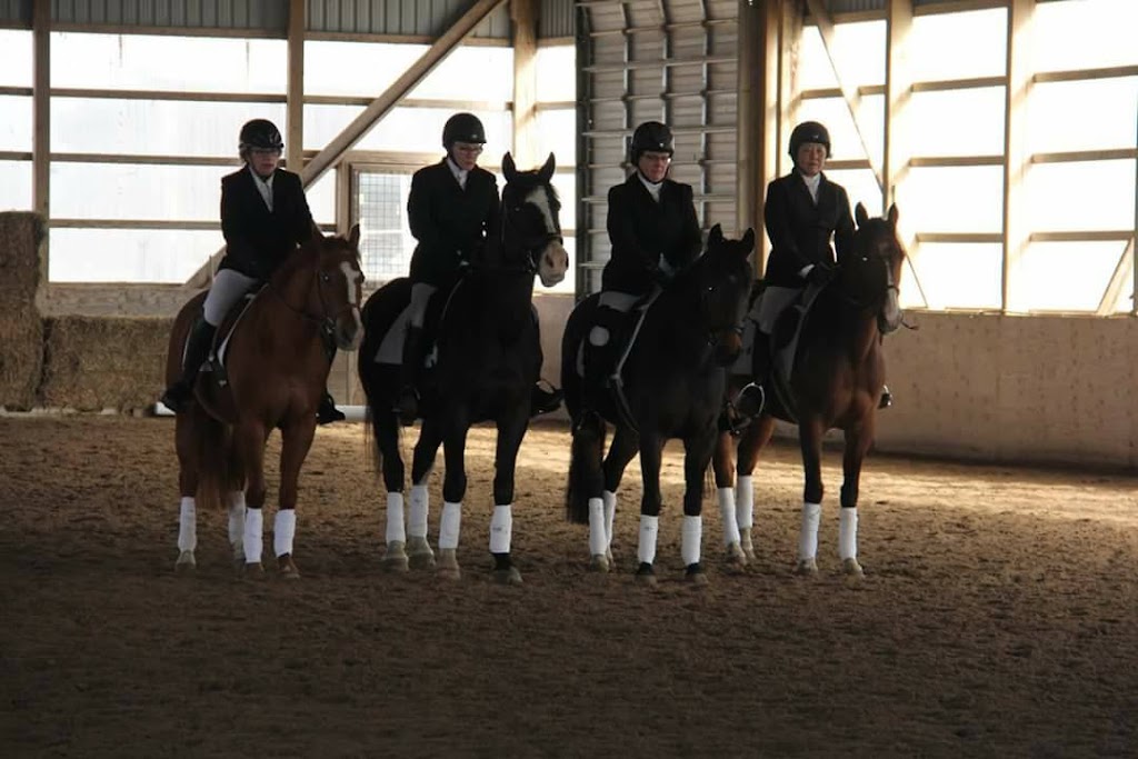 The Equestrian Sport Services | 15443 Ninth Line, Whitchurch-Stouffville, ON L4A 7X4, Canada | Phone: (416) 707-4001