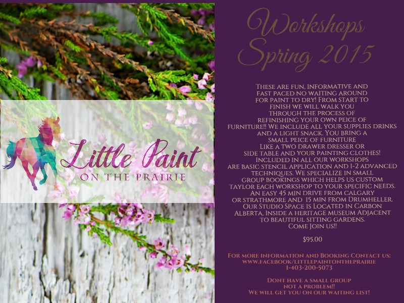 Little Paint On The Prairie | 414 Caradoc Ave, Carbon, AB T0M 0L0, Canada | Phone: (403) 200-5073