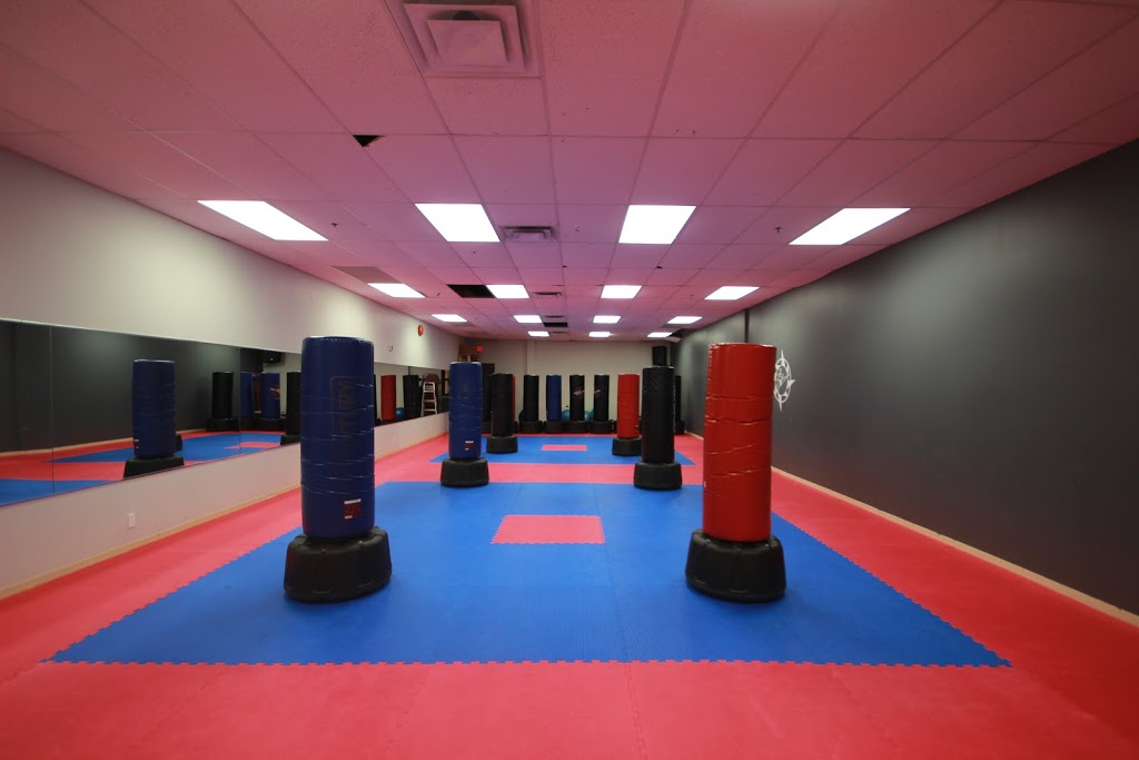 Academy Pro-Style Martial Arts | 101 Schneider Rd, Kanata, ON K2K 1Y3, Canada | Phone: (613) 599-5959