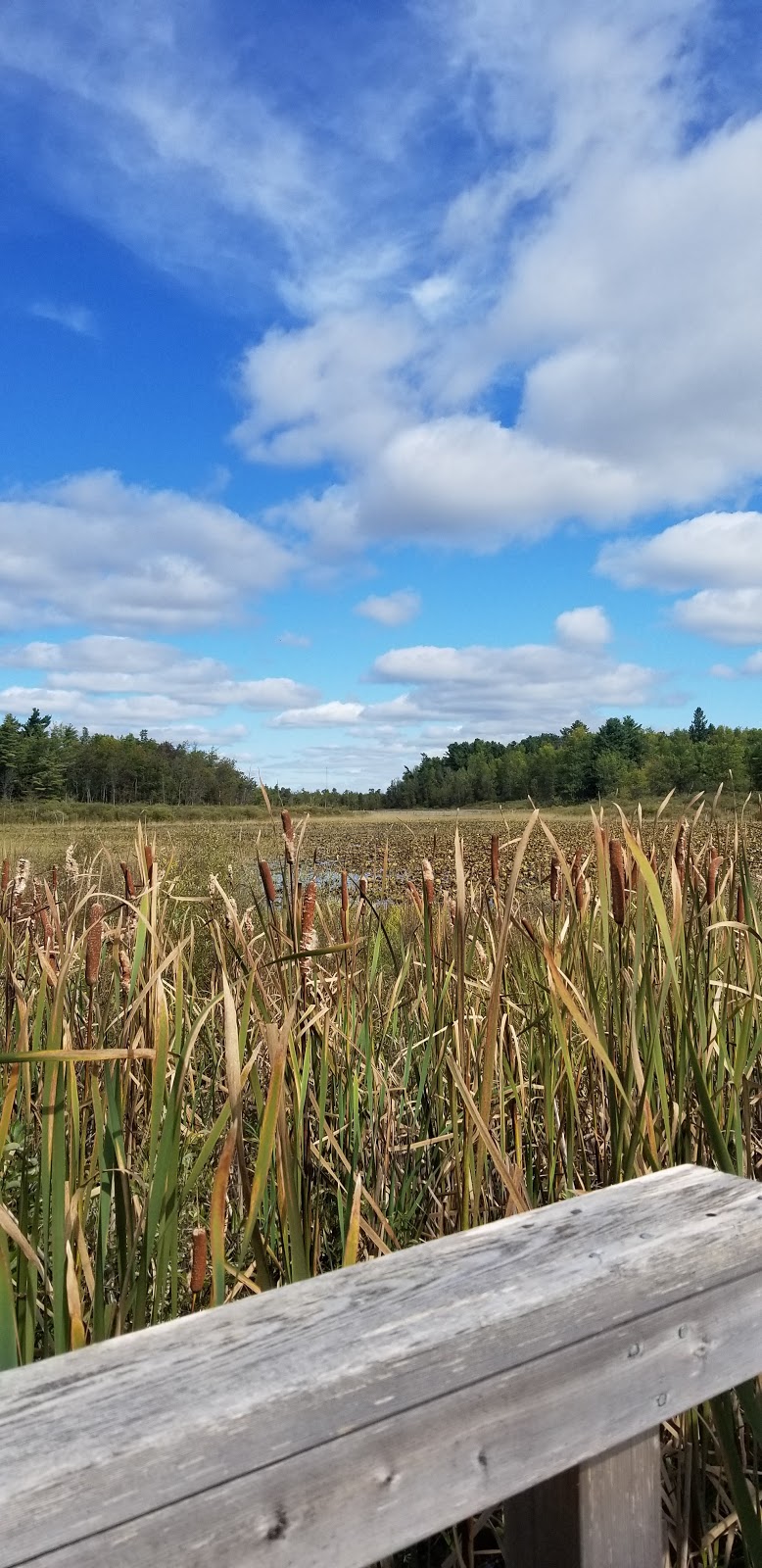 Upper Canada Bird Sanctuary Visitor Centre | 5853 Morrisons Rd, Ingleside, ON K0C 1M0, Canada | Phone: (613) 537-2024