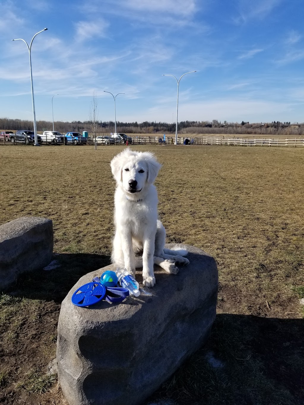 West Rivers Edge Dog Park | Pointe Aux Pins Rd, Fort Saskatchewan, AB T8L 2C5, Canada | Phone: (780) 992-6200