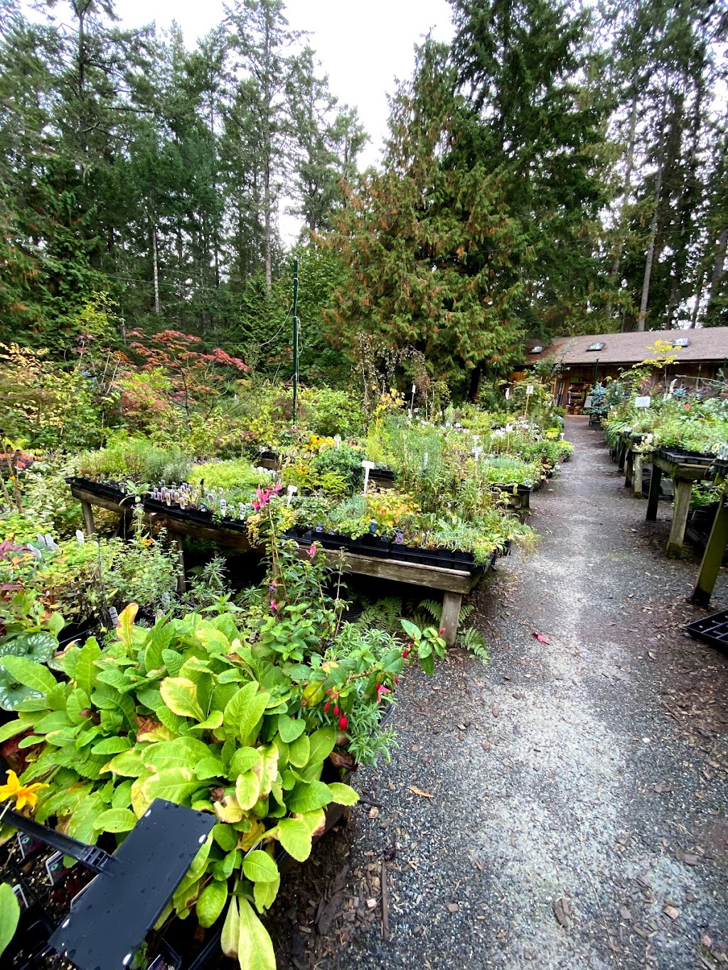 Frasers Thimble Farm | 175 Arbutus Rd, Salt Spring Island, BC V8K 1A3, Canada | Phone: (250) 537-5788