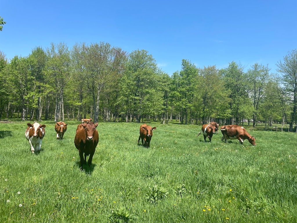 Gemme mon été à la ferme | 318 Av. des Érables, Brigham, QC J2K 0H1, Canada | Phone: (450) 522-9018