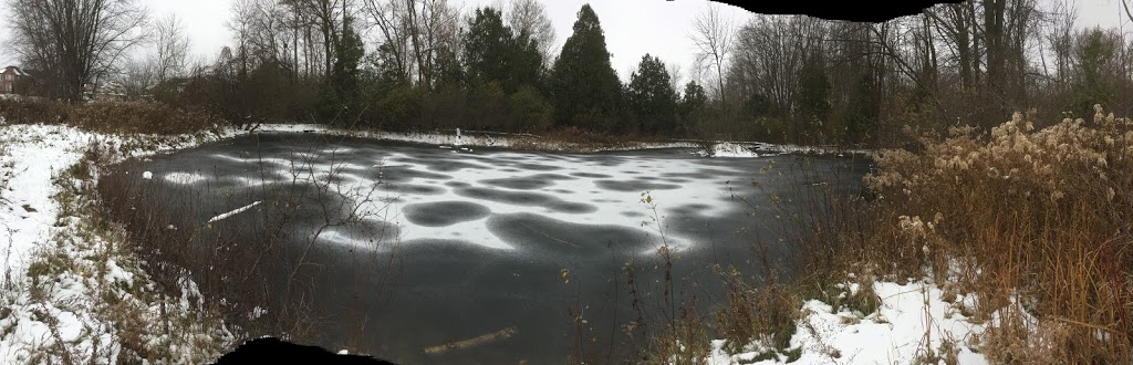 Highbury Wetland and Orchard | Killarney Rd &, Tralee Pl, London, ON N5X 0B8, Canada