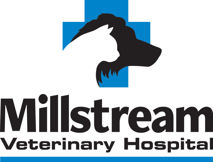 Millstream Veterinary Hospital | 169-2401C Millstream Rd, Victoria, BC V9B 3R5, Canada | Phone: (778) 430-8387