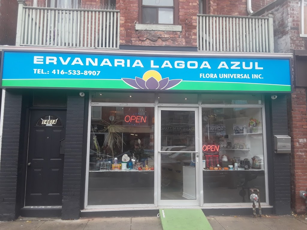 ERVANARIA LAGOA AZUL | 1461 Dundas St W, Toronto, ON M6J 1Y7, Canada | Phone: (416) 533-8907