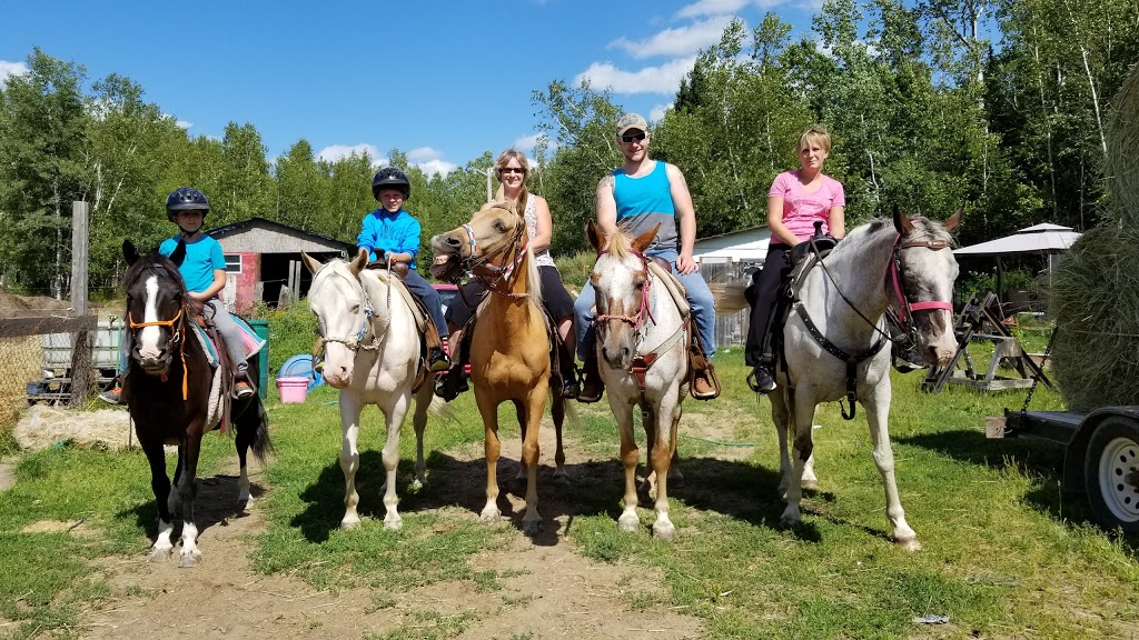 Saddle Tramp Stables | 512 Lockstead Road, Lockstead, NB E9B 1L8, Canada | Phone: (506) 627-6811