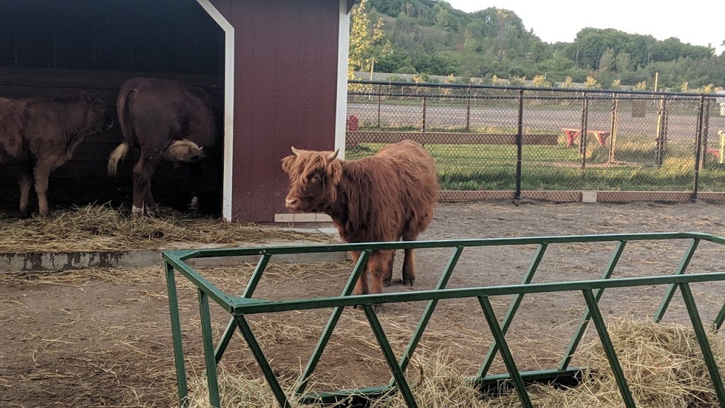 The Big Apple Petting Zoo | 262 Orchard Rd, Colborne, ON K0K 1S0, Canada | Phone: (905) 355-2574