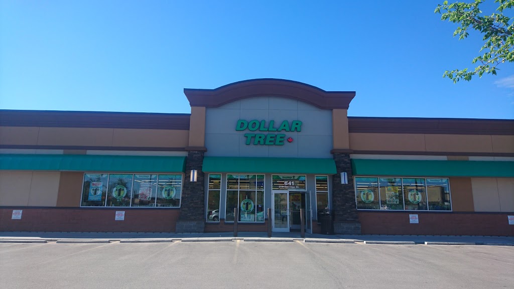 Dollar Tree | 200 Southridge Dr, Okotoks, AB T1S 0B2, Canada | Phone: (403) 995-6273