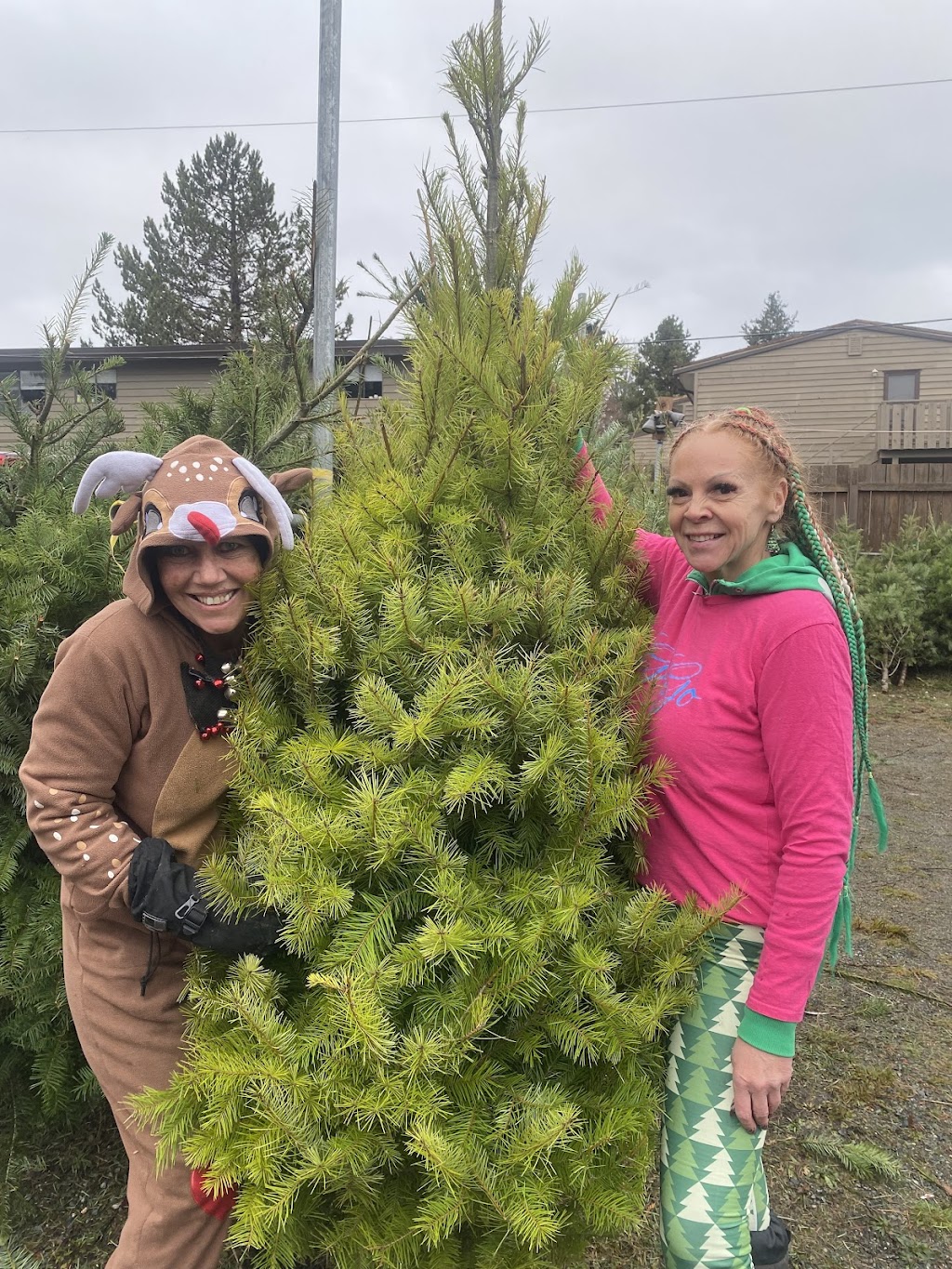 Gogos Christmas Tree Lot | 55 Pryde Ave, Nanaimo, BC V9S 4R5, Canada | Phone: (250) 816-8373