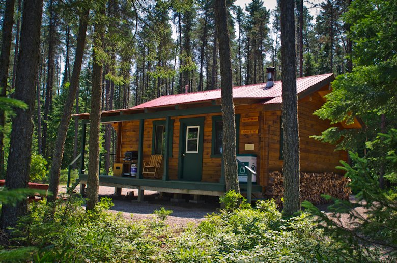 Forest bathing | 1 route Forestière 25 (km 50, La Tuque, QC G9X 3P2, Canada | Phone: (514) 434-4237