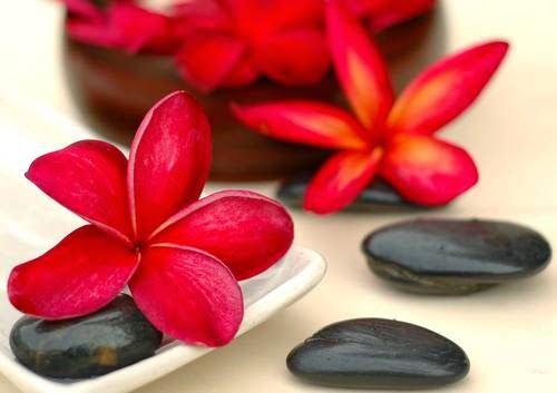 Oliwei Spa - Massage, Facials, and Body Treatment | 6628 Crowchild Trail SW Suite 202, Calgary, AB T3E 5R8, Canada | Phone: (403) 398-9572