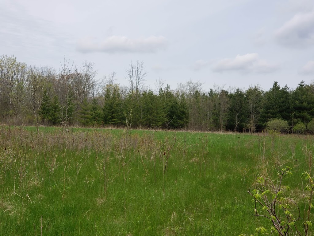 Grassy Brook | Grassy Brook Rd, Welland, ON, Canada