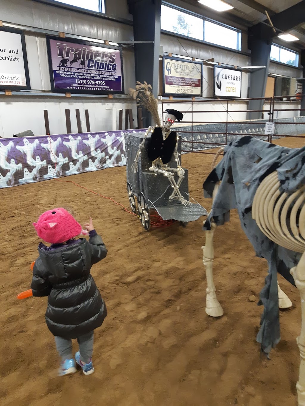 Windsor - Essex Therapeutic Riding Association | 3323 N Malden Rd, Essex, ON N8M 2X6, Canada | Phone: (519) 726-7682