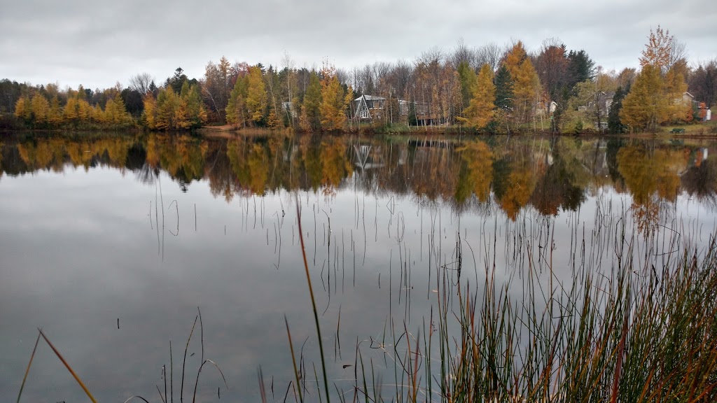 Parc du Lac des Sources | Rue de lÉcluse, Saint-Apollinaire, QC G0S 2E0, Canada