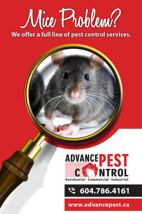 Richmond Advance Pest Control | 10540 Finlayson Dr, Richmond, BC V6X 1W6, Canada | Phone: (604) 786-4161