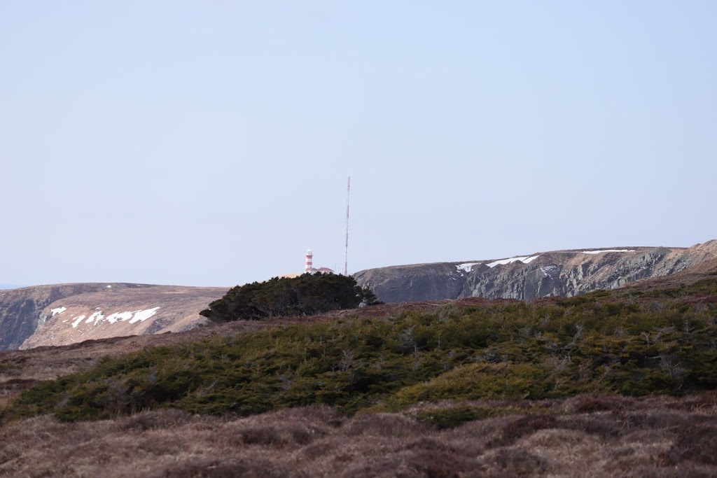 Cape Pine | Lighthouse, Cape Pine, NL A0A 3R0, Canada | Phone: (709) 438-1093