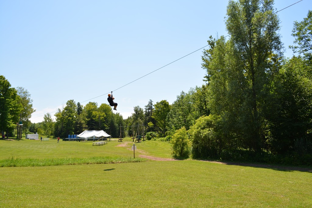 Treetop Eco-Adventure Park | 53 Snow Ridge Ct, Oshawa, ON L1H 7K4, Canada | Phone: (905) 655-1113