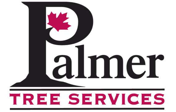 Palmer Tree Service | 11 Ward Rd, Warkworth, ON K0K 3K0, Canada | Phone: (705) 760-5644