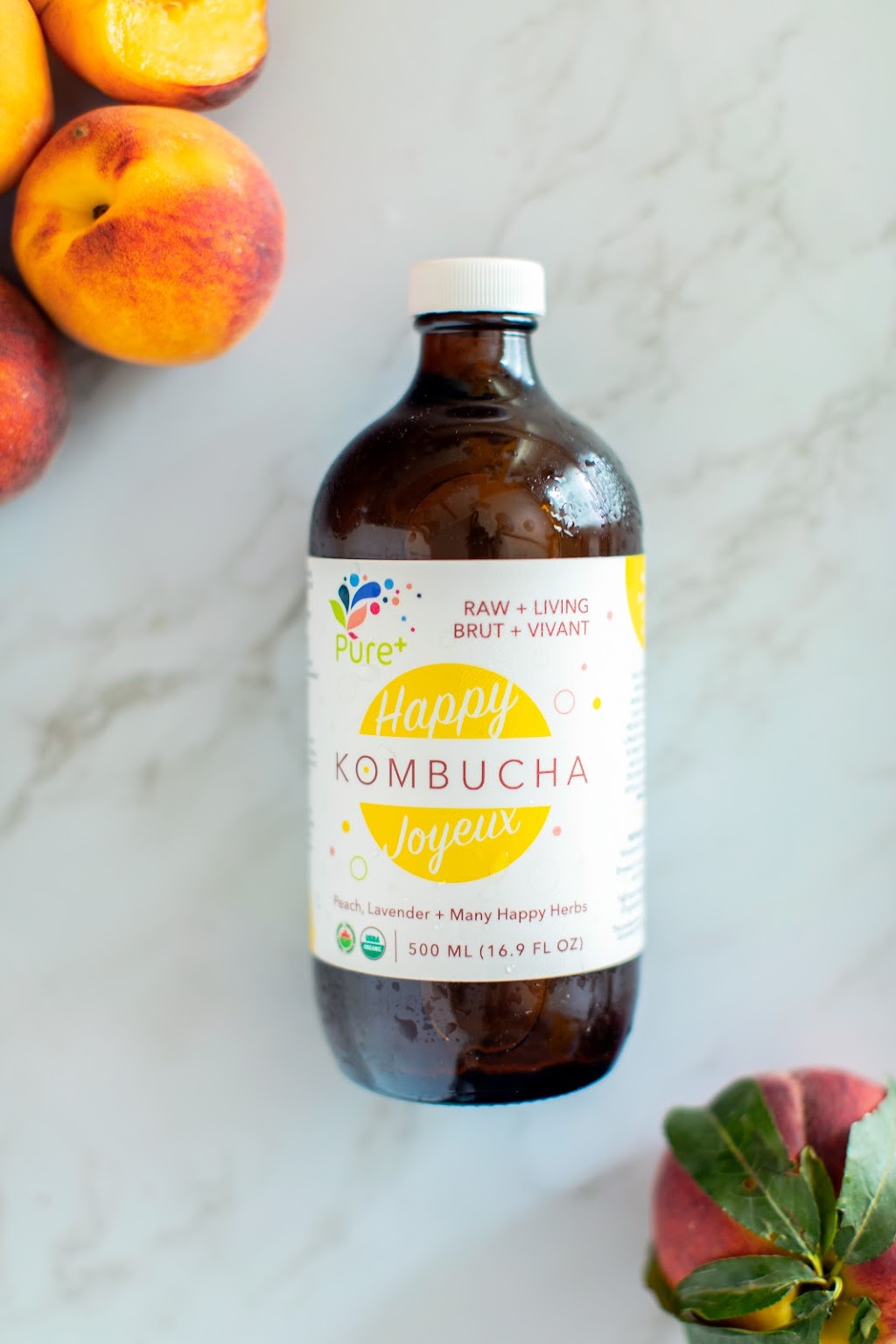 Pure+ Kombucha | 6901 72 St #215, Delta, BC V4G 0A2, Canada | Phone: (604) 952-4477