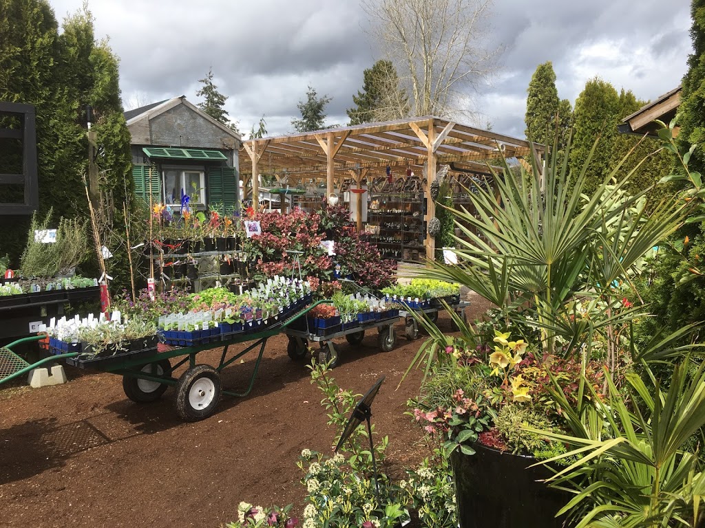 Phoenix Perennials | 3380 No 6 Rd, Richmond, BC V6V 1P5, Canada | Phone: (604) 270-4133