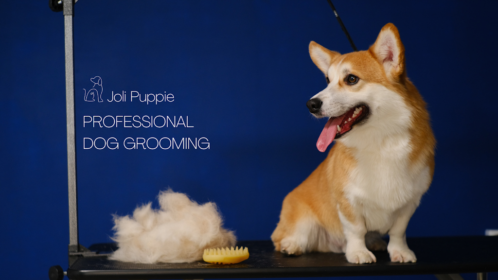 Joli Puppie Pet Grooming | 3 Banbury Dr, Ancaster, ON L9K 1H8, Canada | Phone: (289) 456-8413