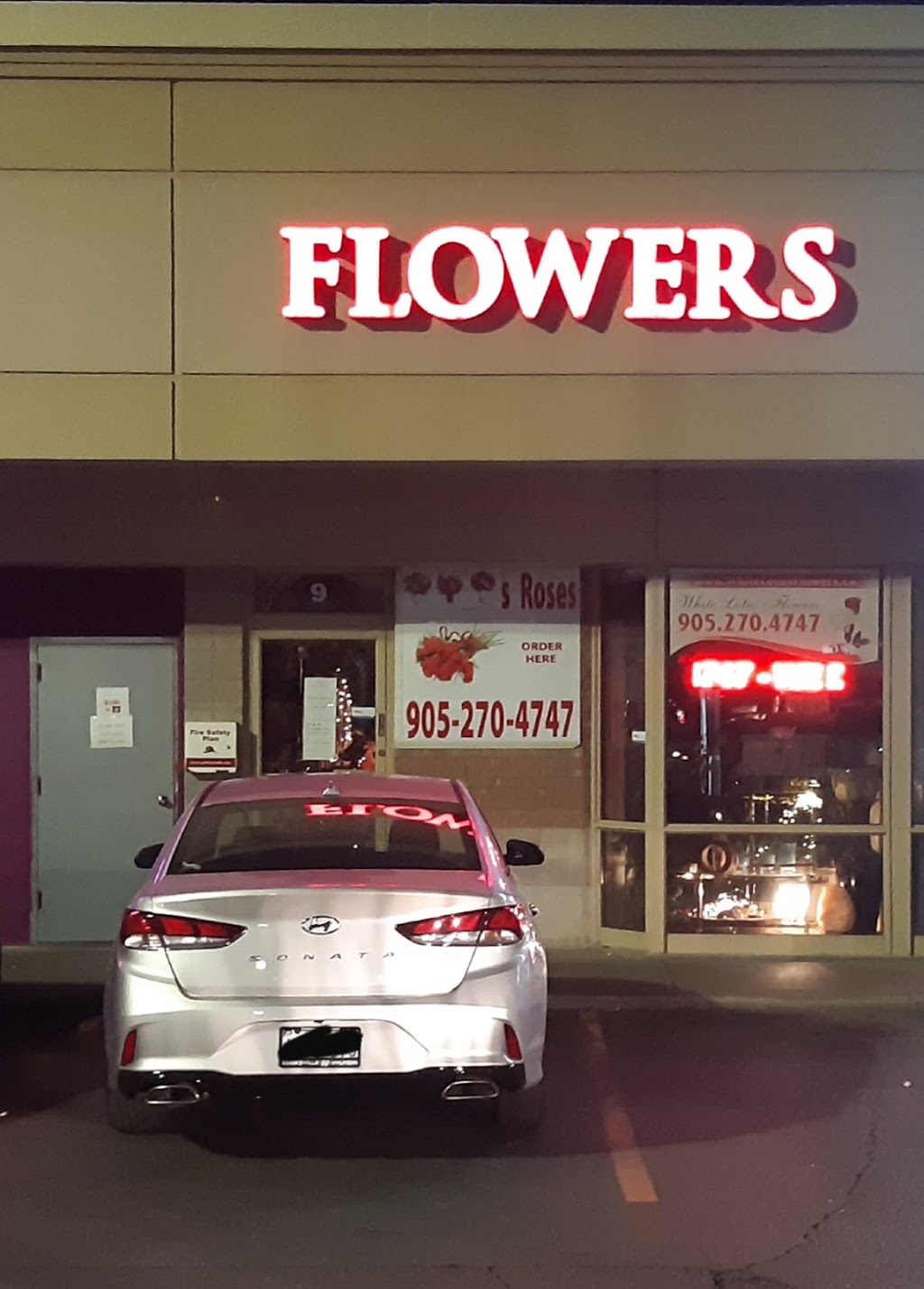 White Lotus Flowers | 325 Central Pkwy W #9, Mississauga, ON L5B 3X9, Canada | Phone: (905) 270-4747