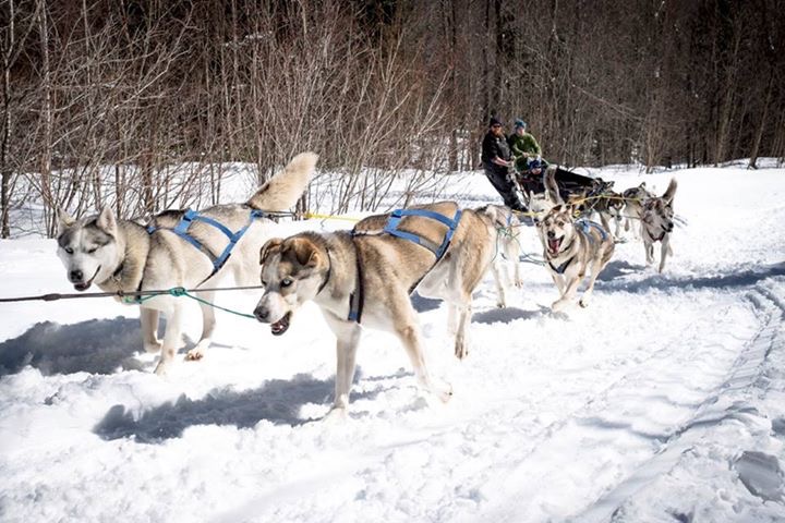 Animatours a lInterval | 3565 Chem. du Lac-Legault, Sainte-Lucie-des-Laurentides, QC J0T 2J0, Canada | Phone: (819) 424-5809