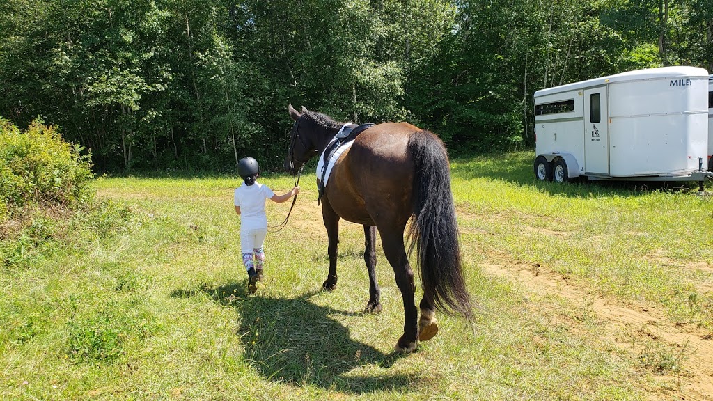 La Cadence école équitation | 1910 Rang Saint Félix E, Notre-Dame-du-Mont-Carmel, QC G0X 3J0, Canada | Phone: (819) 609-1131