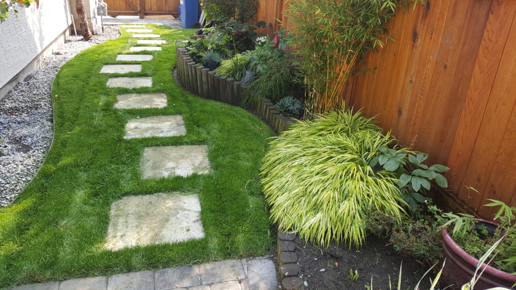 Salt of the Earth Landscaping | 719 Eastridge Pl, Victoria, BC V8Z 6B8, Canada | Phone: (250) 893-1234