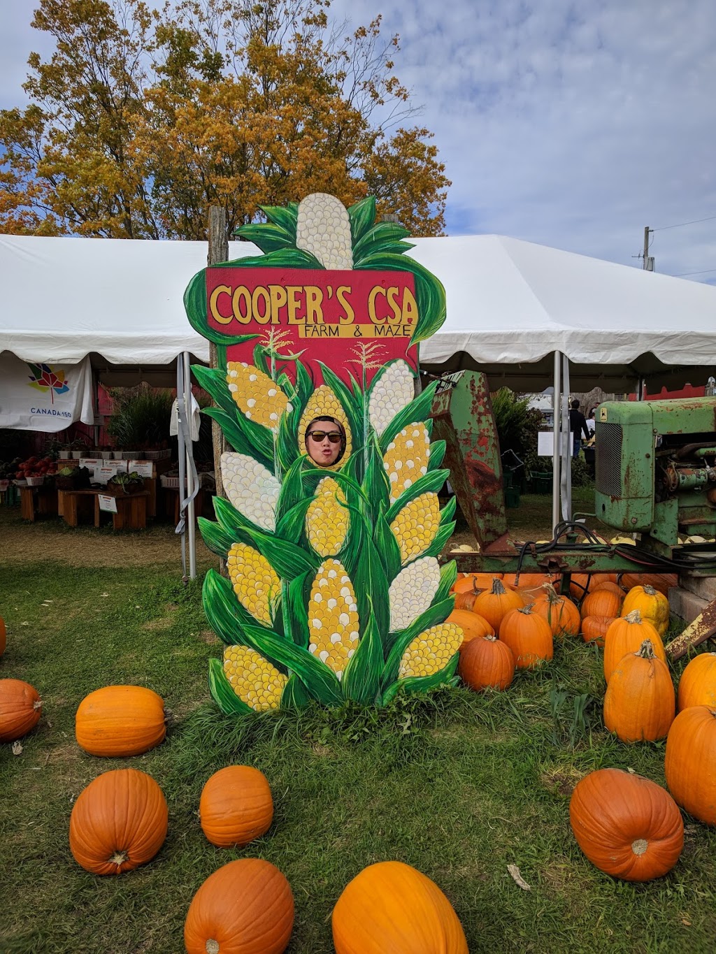 Coopers CSA Farm & Maze | 266 Ashworth Rd, Zephyr, ON L0E 1T0, Canada | Phone: (905) 830-4521