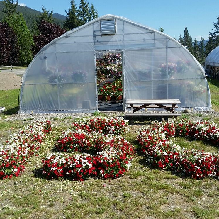 Creekside Greenhouses | 597 Jamieson Creek Main Haul Rd, Kamloops, BC V2B 8S2, Canada | Phone: (250) 579-9296