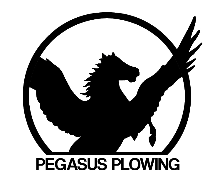 Pegasus Snow Removal + Ice Management | 18074 72 Ave, Surrey, BC V4N 6B7, Canada | Phone: (604) 309-1808