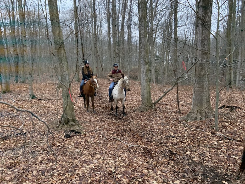 Darkin Riding Stables | 6253 Brown Rd, Port Burwell, ON N0J 1T0, Canada | Phone: (519) 280-1819