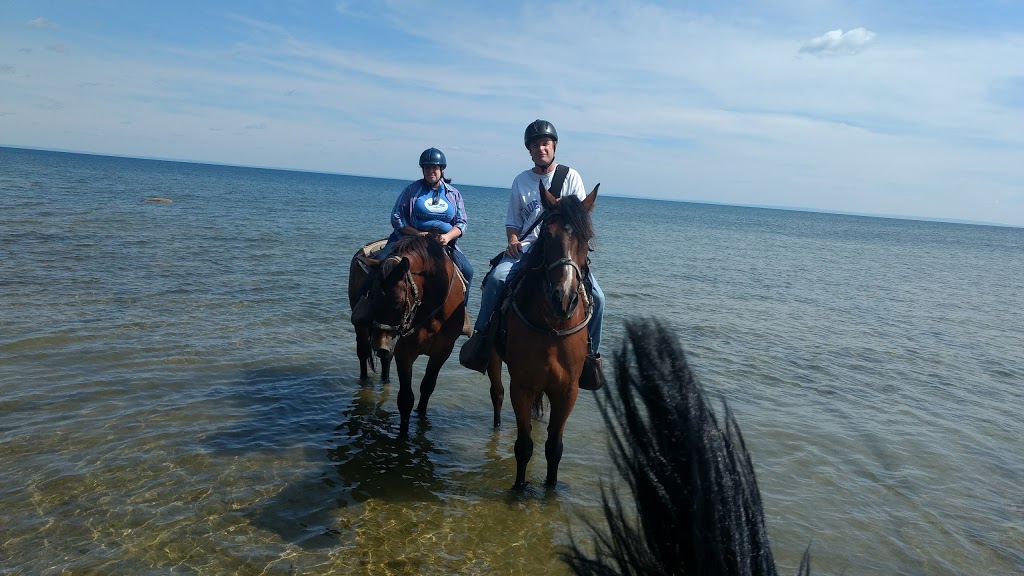 Wainfleet Wetlands Conservation Area | 10638 Quarry Road, Wainfleet, ON, Canada | Phone: (905) 788-3135