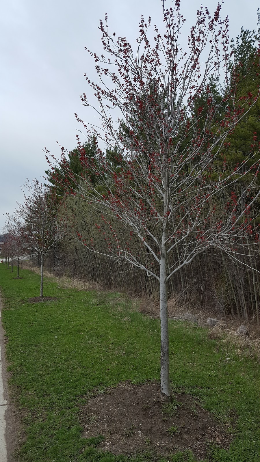 Woodland Hills Labyrinth Park | 3A7, 45 Ford Wilson Blvd, Newmarket, ON L3X 3A7, Canada