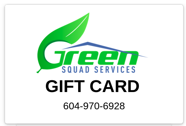 Green Squad Services | 1995 W 15th Ave #3, Vancouver, BC V6J 2L2, Canada | Phone: (604) 970-6928