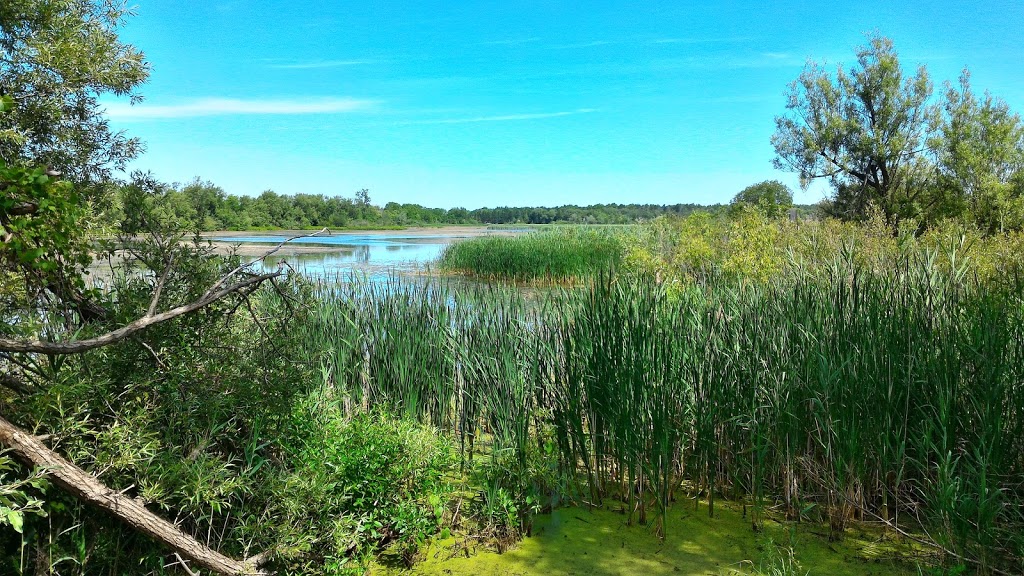 Mud Lake Conservation Area | 3031 Elm St, Port Colborne, ON L3B 5K7, Canada | Phone: (905) 788-3135