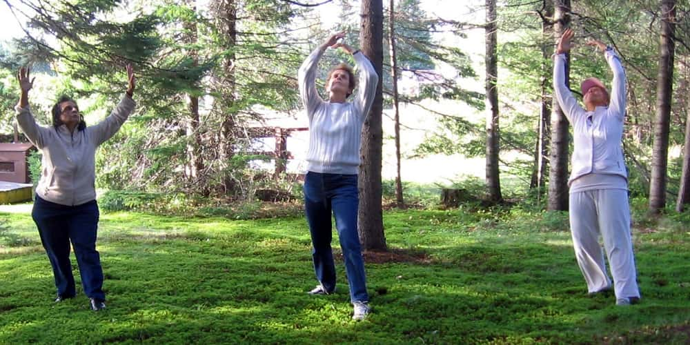 Taichi Qigong by Sandra Mitchell | Rue Toulon, Brossard, QC J4W 2X2, Canada | Phone: (514) 576-4172