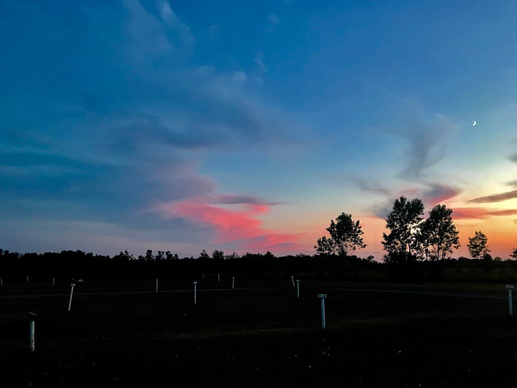 Mustang Drive-In (PEC) | 1521 Prince Edward County Rd 1, Bloomfield, ON K0K 1G0, Canada | Phone: (613) 393-2006