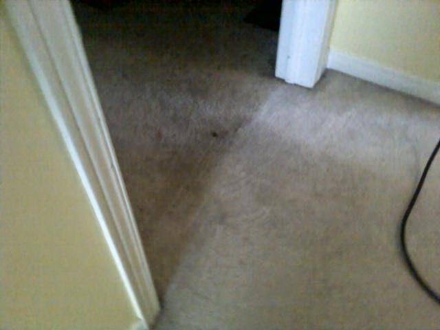 Deep Scrub Carpet & Upholstery Cleaning | 43 Memory Ln, Cambridge, ON N3C 3X7, Canada | Phone: (519) 591-9387