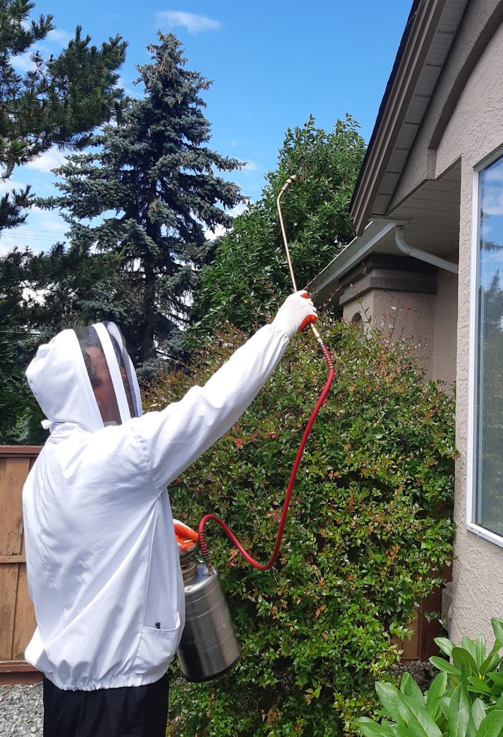 Owls Eye Pest Control | 6291 Dover Rd, Nanaimo, BC V9V 1L5, Canada | Phone: (250) 802-3227