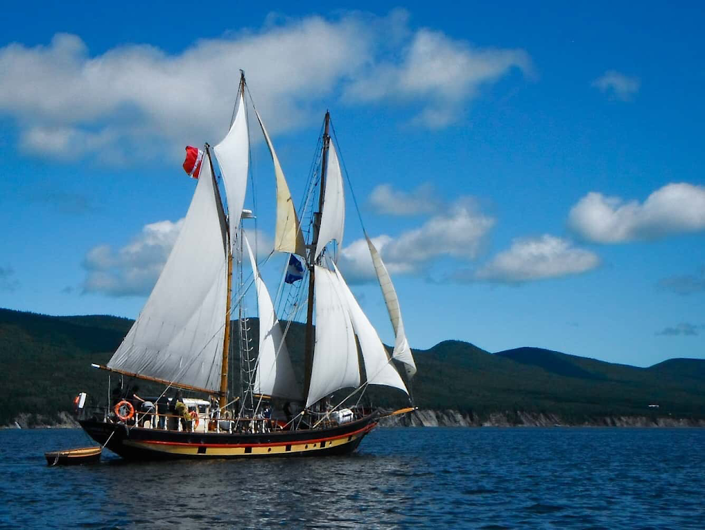 Tall Ship Expeditions Canada - Brigantine | 53 Yonge St, Kingston, ON K7M 6G4, Canada | Phone: (613) 544-5175