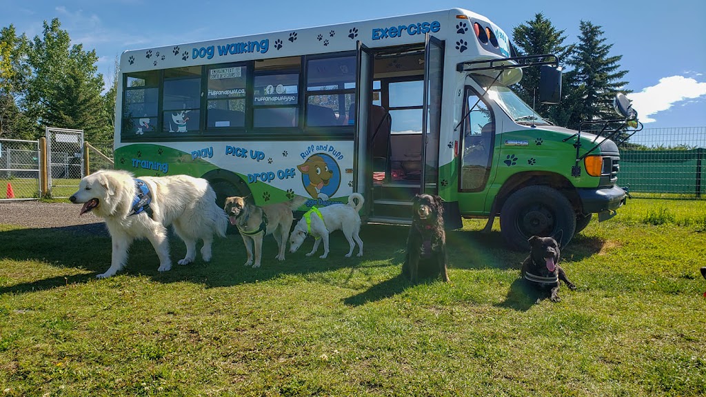 Ruff and Puff Doggie DayCamp | 1310 New Brighton Park SE, Calgary, AB T2Z 0Y2, Canada | Phone: (403) 305-9796