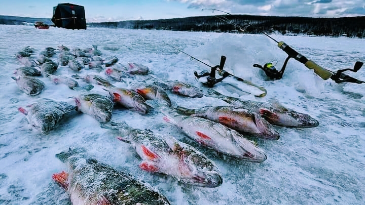 Centre de pêche sur glace Les Jiggeux | 3180 A Rue Principale, Saint-Ferdinand, QC G0N 1N0, Canada | Phone: (819) 621-5132