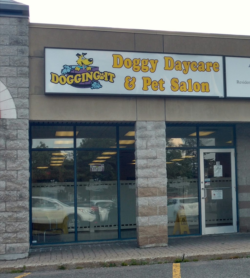 Dogging It | 195 Menten Pl, Nepean, ON K2H 9C1, Canada | Phone: (613) 820-3647