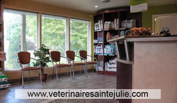 Hôpital Vétérinaire Victoria ???? | 755 Montée Sainte-Julie, Sainte-Julie, QC J3E 1W9, Canada | Phone: (450) 922-2180