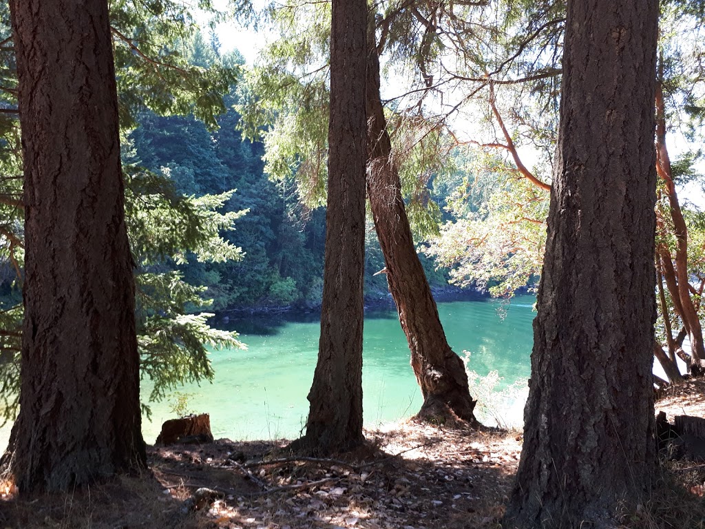 Narvaez Bay campsite | Saturna, BC V0N 2Y0, Canada