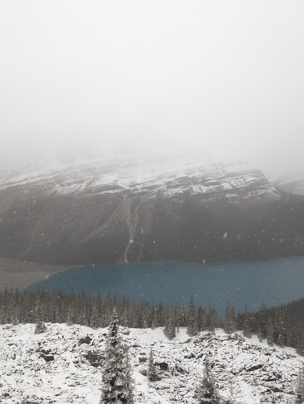 Bow Summit and Peyto Lake | Icefields Pkwy, Jasper, AB T0L 1E0, Canada | Phone: (403) 522-3833