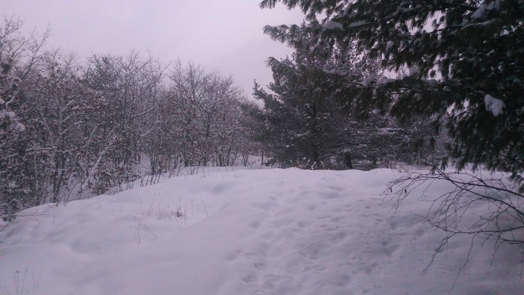 Minnow Lake Trail | Sudbury, ON P3B 1K3, Canada